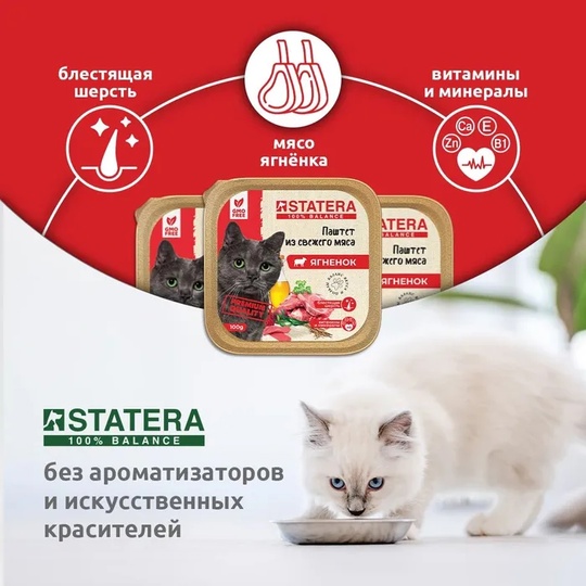 STATERA мясной паштет для взрослых кошек с ягненком