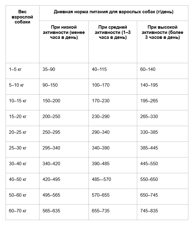 Сколько раз в день кормить собаку_33.png Сколько раз в день кормить собаку_33.png