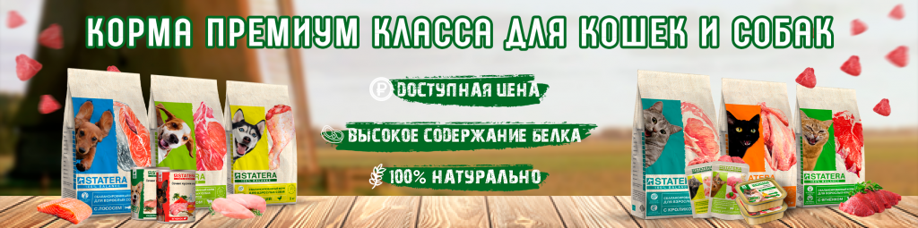 О нас Statera.png