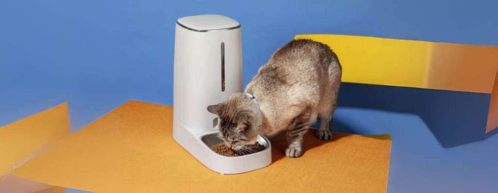Что означает холистик для кошек (5).jpg Что означает холистик для кошек (5).jpg