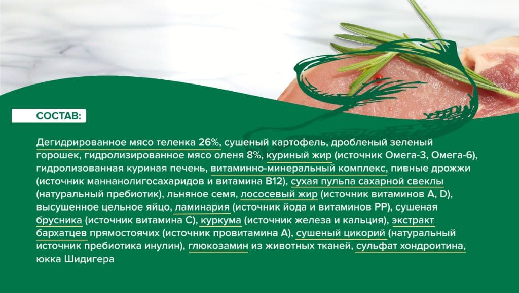 Чем кормить джек-рассел-терьера (1).jpg Чем кормить джек-рассел-терьера (1).jpg
