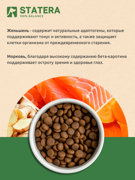 STATERA сухой корм для взрослых собак всех пород с лососем