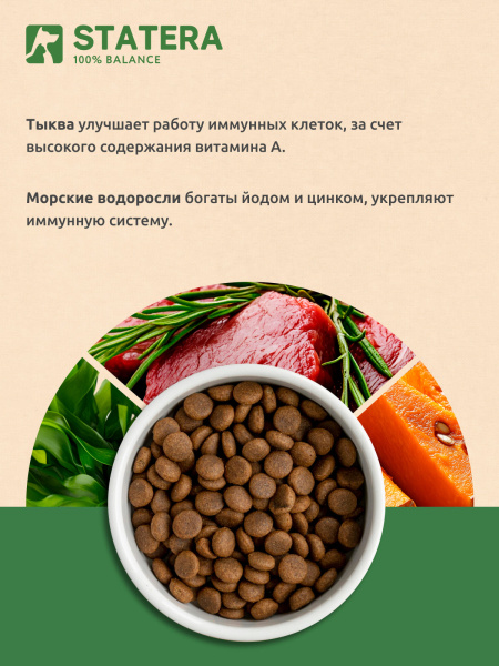 STATERA сухой корм для взрослых собак средних и крупных пород с ягненком