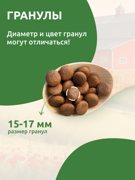 STATERA Полнорационный сухой корм для взрослых собак всех пород с индейкой и гречкой